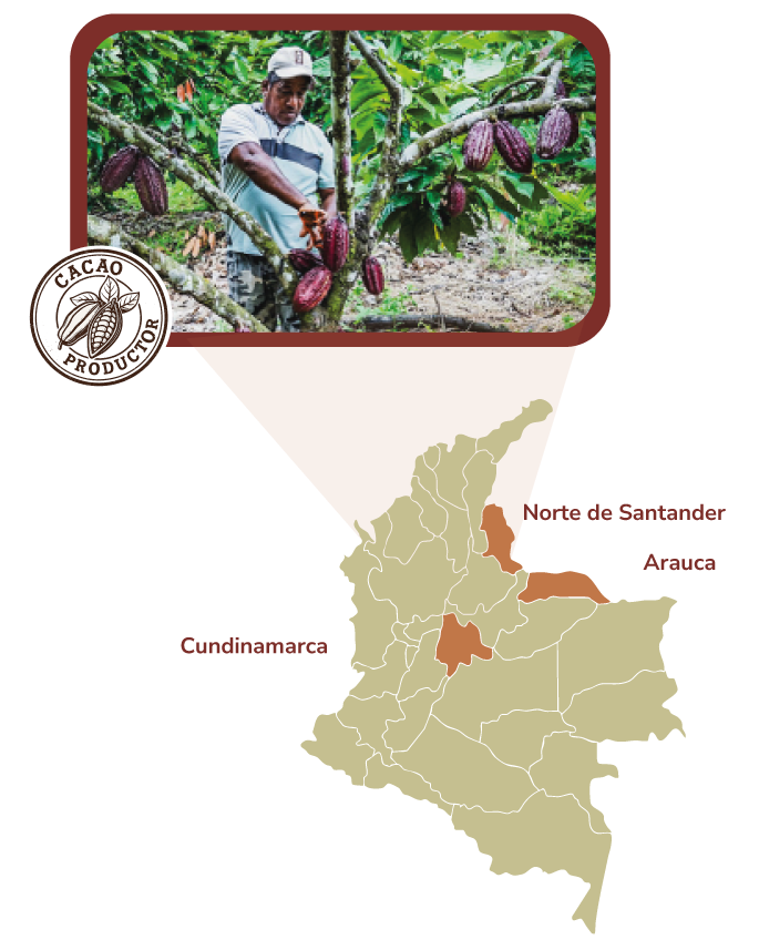Mapa Archocol