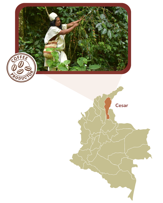 Mapa Café Excelso
