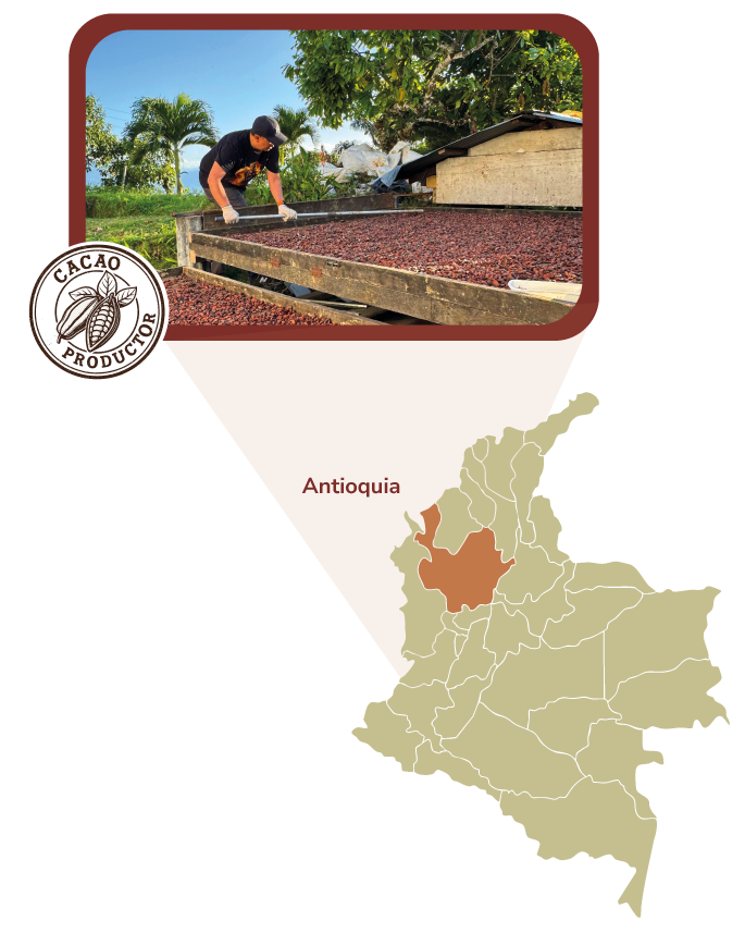 Mapa Chocolate Colombia