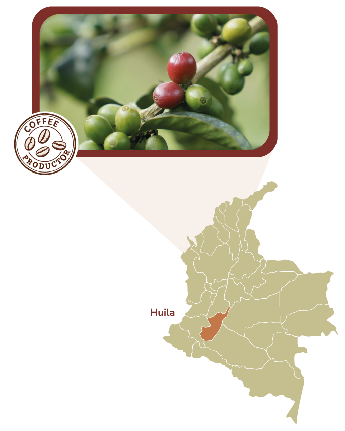 Mapa Global Cafes