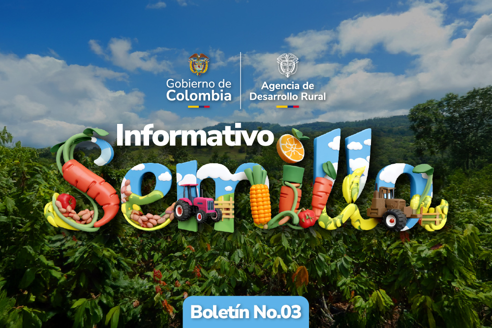 Banner Boletín Semilla 3