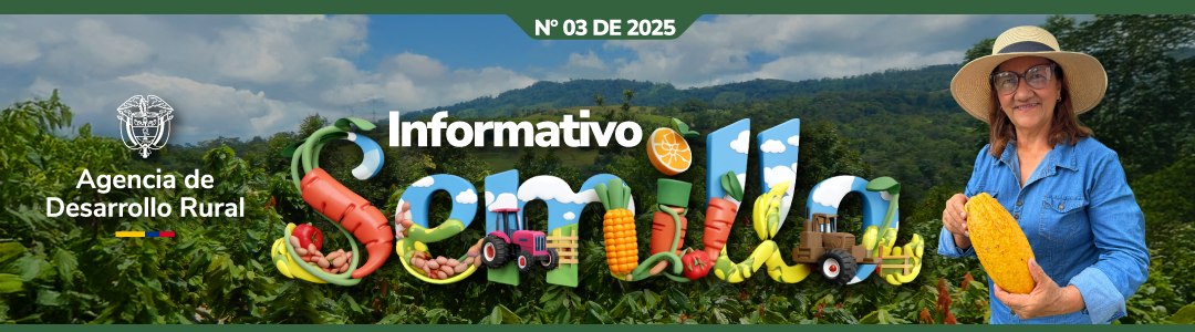 Cabezote boletín semilla 3