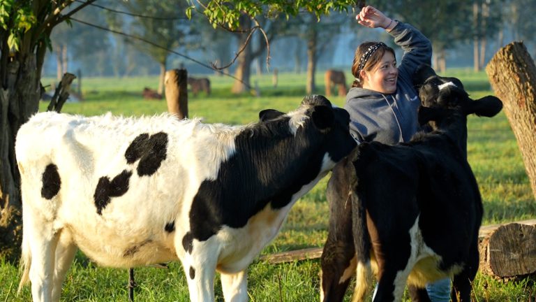 En el Día Mundial de la Leche (3)