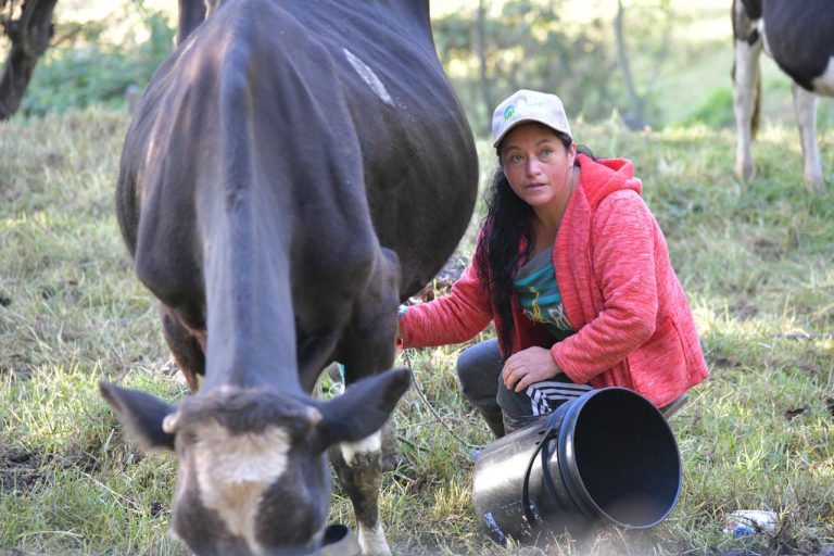En el Día Mundial de la Leche (4)
