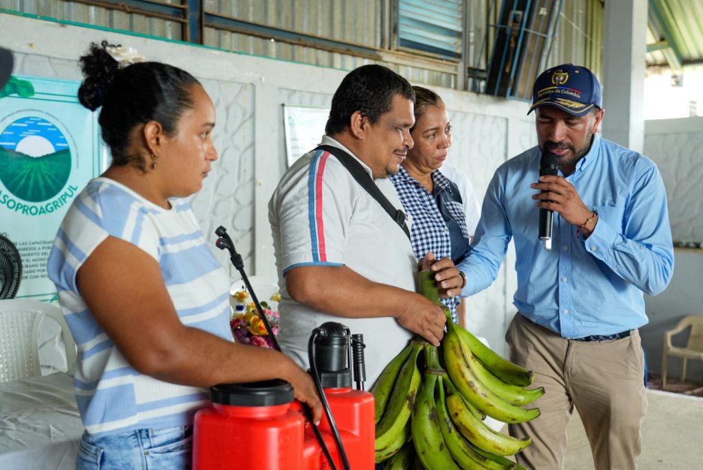 En Sucre y Córdoba, 16.000 millones en proyectos de ganadería, plátano y tilapia roja