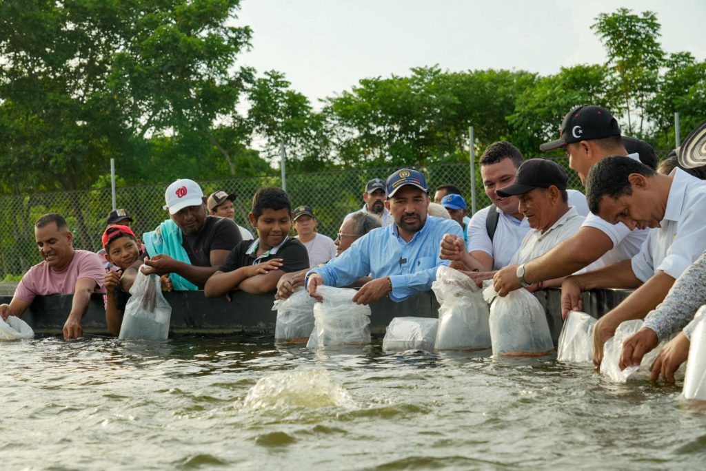 En Sucre y Córdoba, 16.000 millones en proyectos de ganadería, plátano y tilapia roja