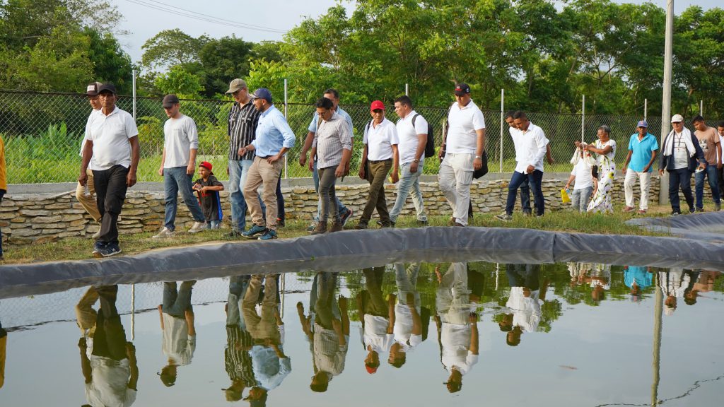 En Sucre y Córdoba, 16.000 millones en proyectos de ganadería, plátano y tilapia roja