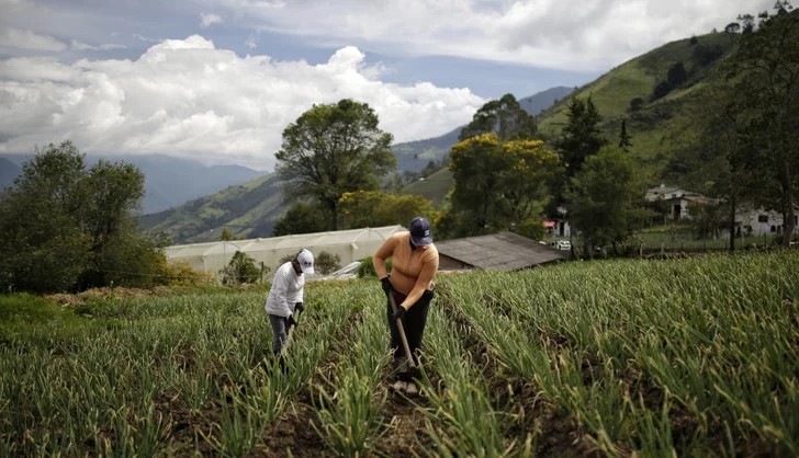 Campesinos Arando la tierra
