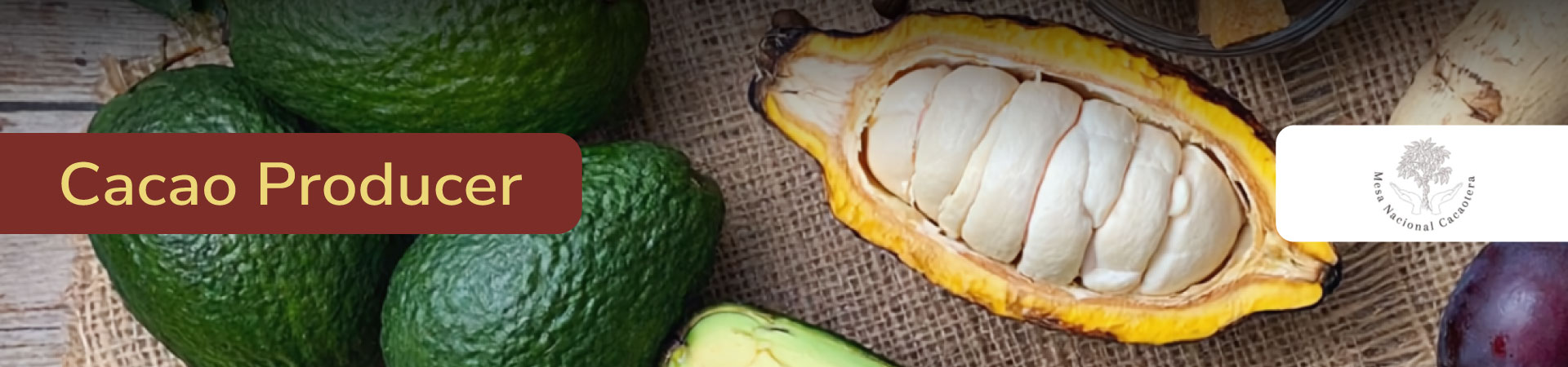 banner-micrositio-osaka-productores-cacao-mesa-nacional-cacaotera-eng