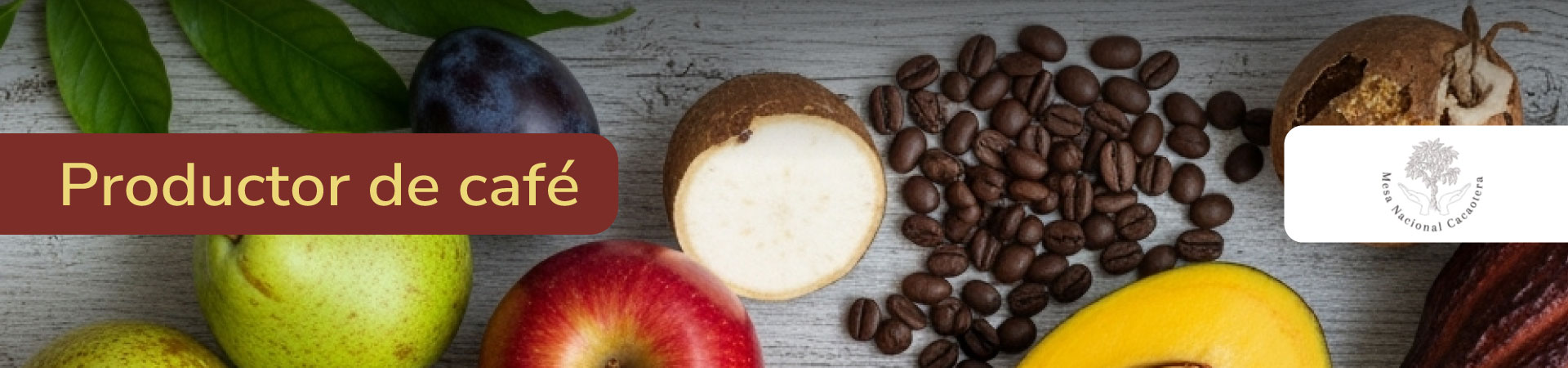 Mesa Nacional Cacaotera