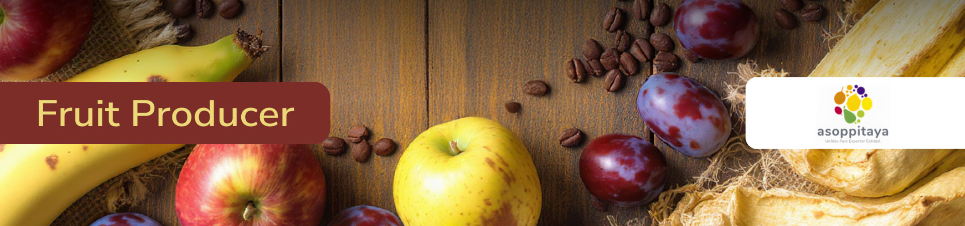 banner-micrositio-osaka-productores-fruta-asoppitaya-eng