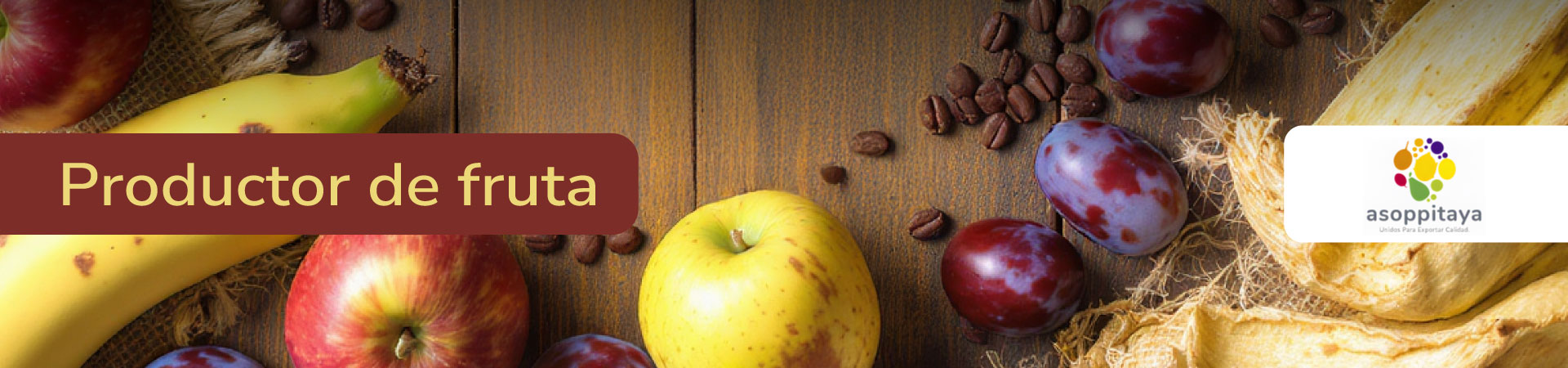 banner-micrositio-osaka-productores-fruta-asoppitaya