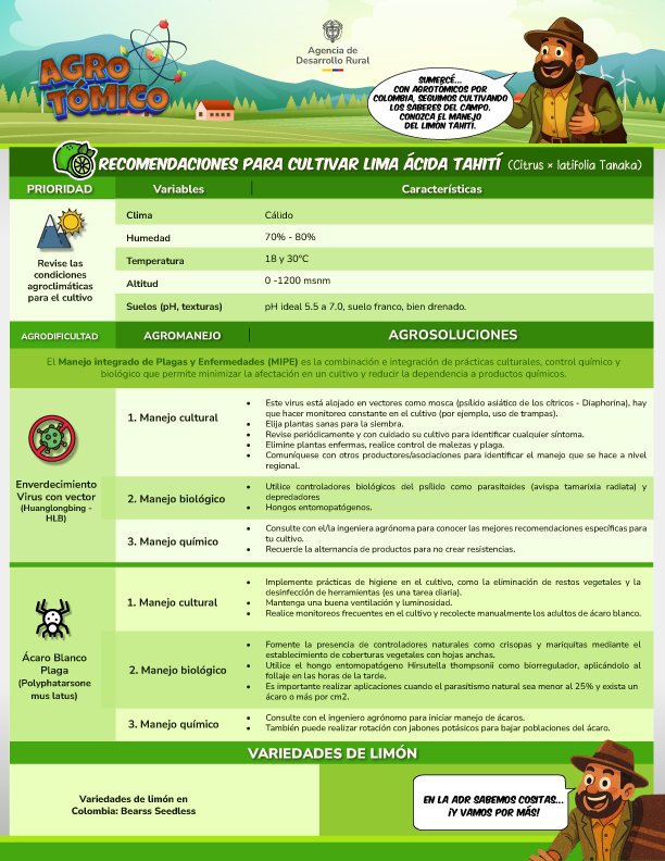 Ficha Técnica Limón