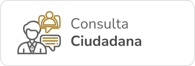 Consulta Ciudadana