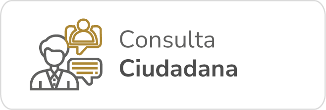 Consulta Ciudadana