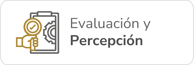 Evaluación Y percepción