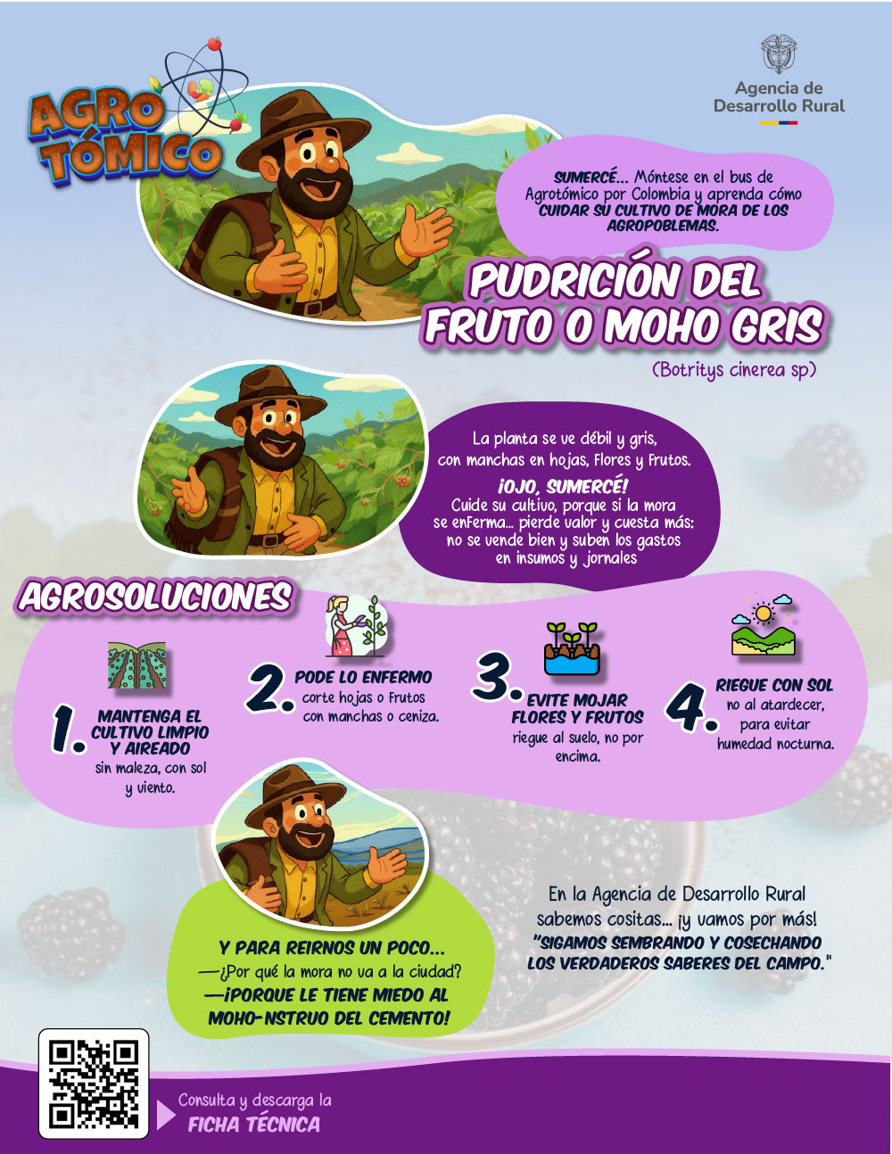 Infografía cuidado de la Mora