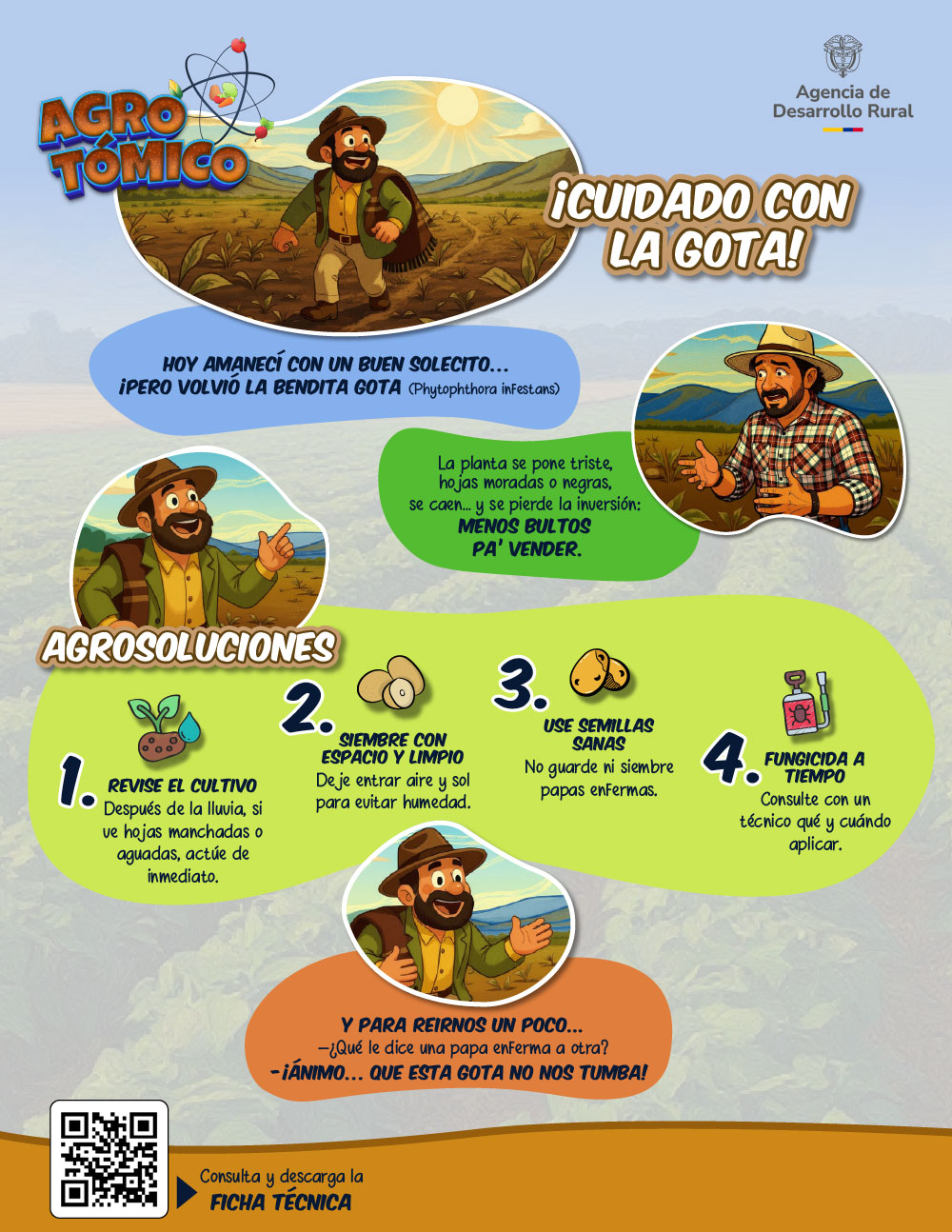 Infografía cuidado de la papa