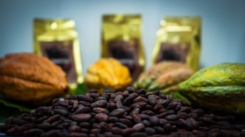 Foto de Cacao
