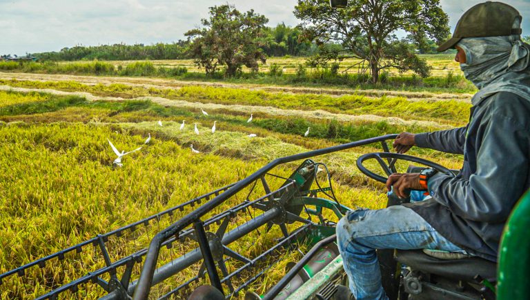 El Gobierno del Cambio fortalece alianzas productivas con comunidades indígenas