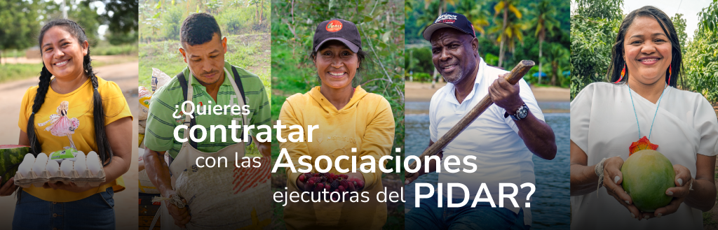Banner PIDAR UTTS