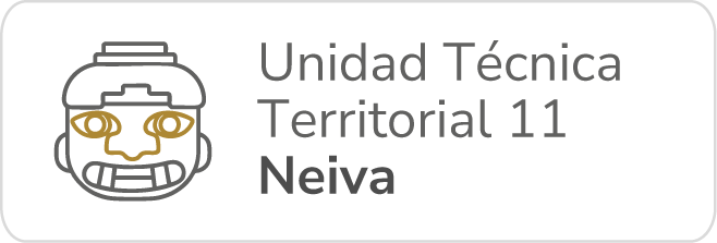 Botón TDR UTT 11 Neiva