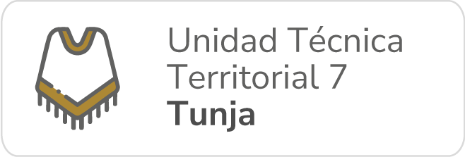 Botón TDR UTT 7 Tunja
