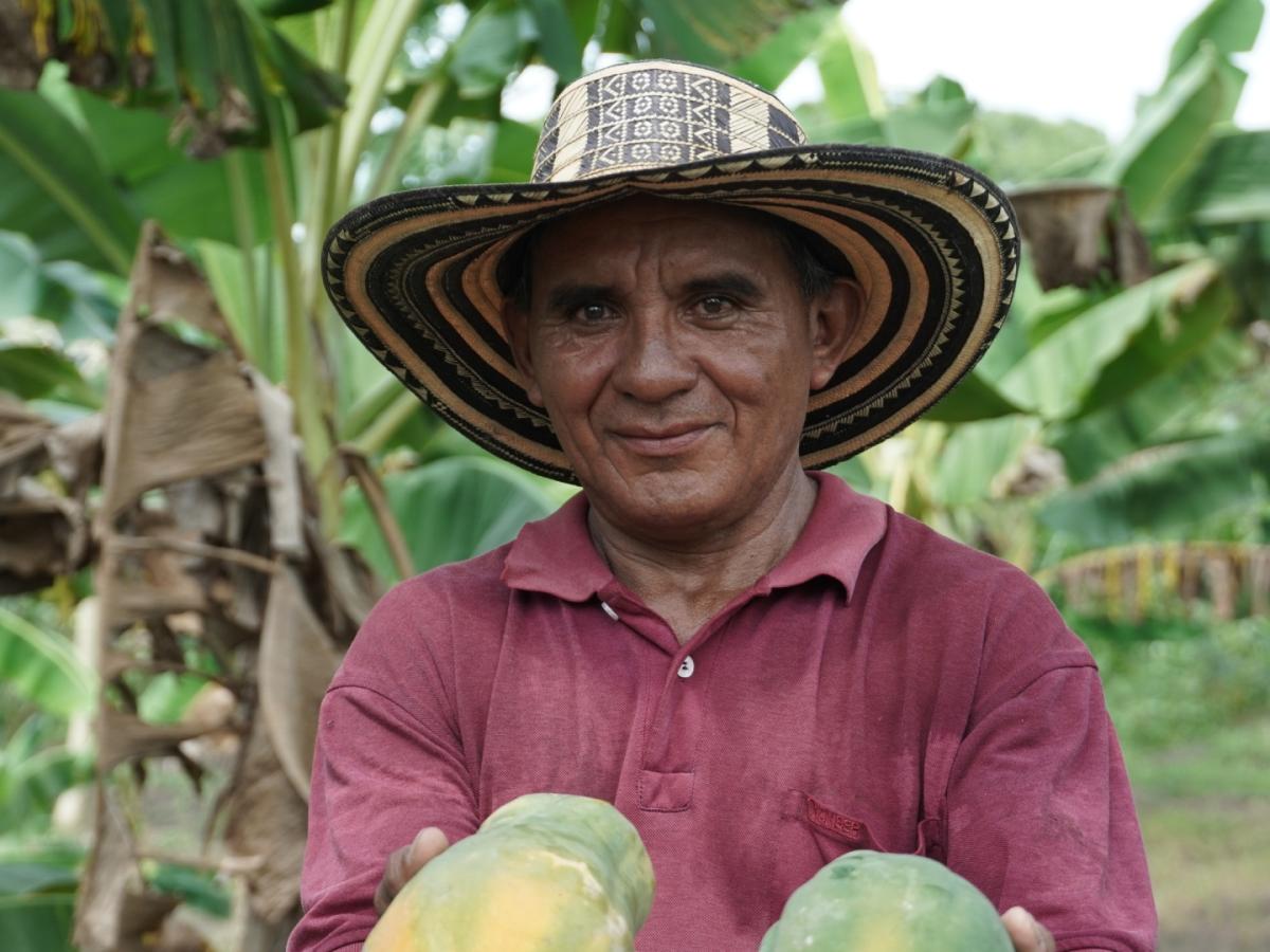 El agro colombiano crece: Fondo de Tierras suma 662 mil hectáreas y ADR ...