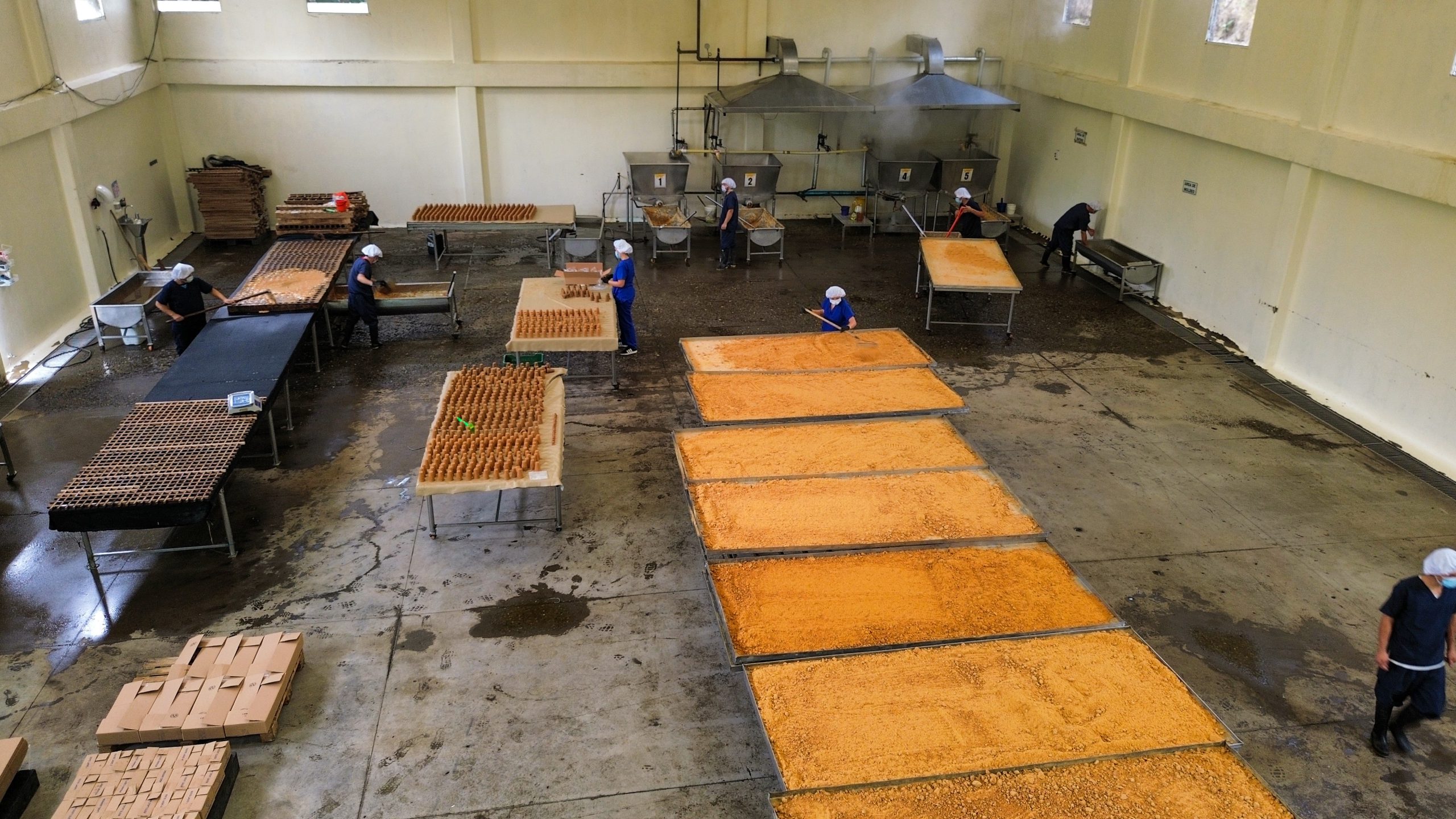 ¡1er foro internacional de la panela: calidad y estandarización para el mundo!