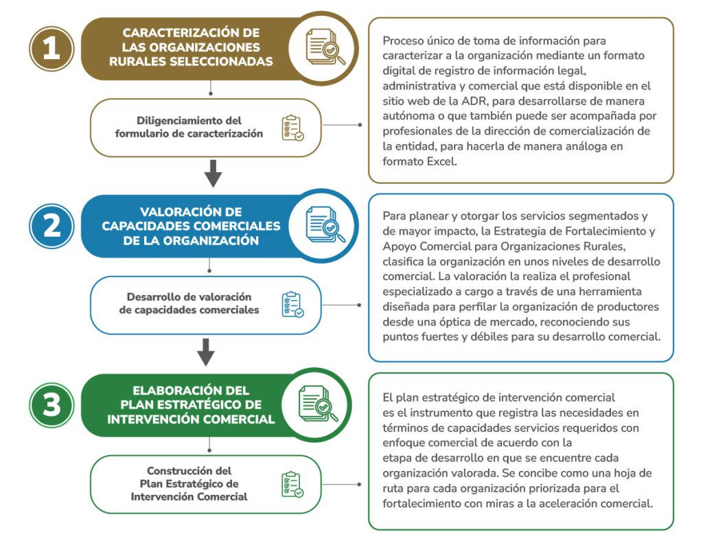 Caracterización Organizacional