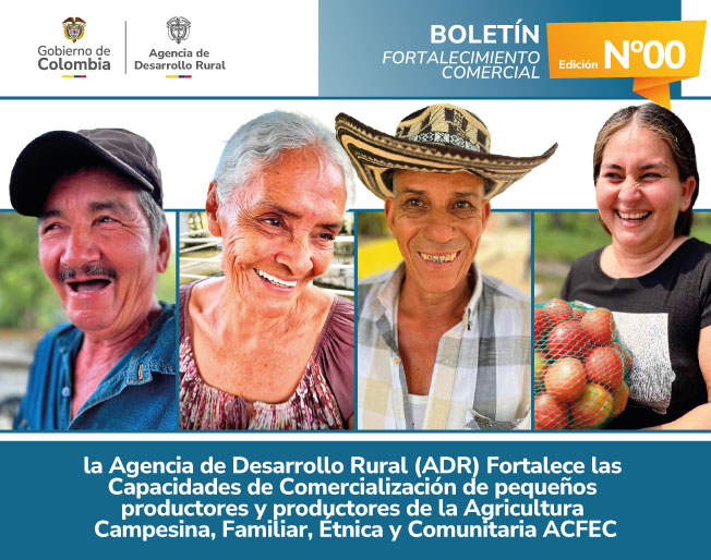 00-BOLETÍN-FORTALECIMIENTO-COMERCIAL