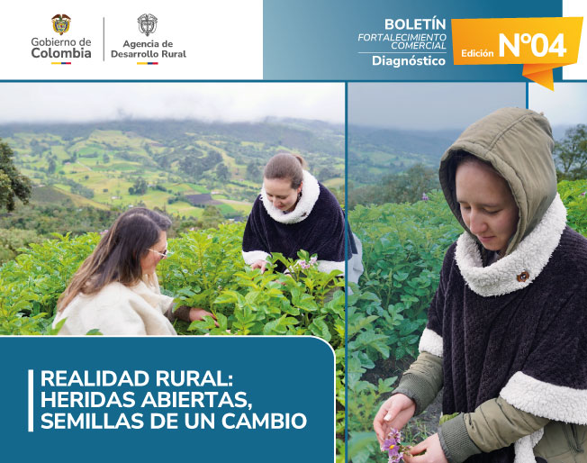 BOLETÍN 04---DIAGNÓSTICO