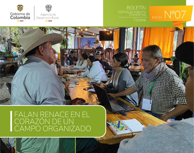 BOLETÍN 07---TOLIMA