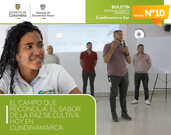 BOLETÍN 10---CUNDINAMARCA-SUR