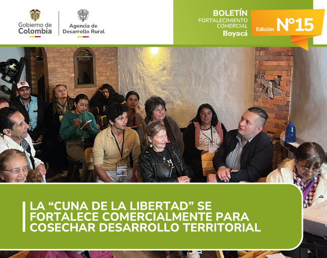 BOLETÍN 15---BOYACÁ