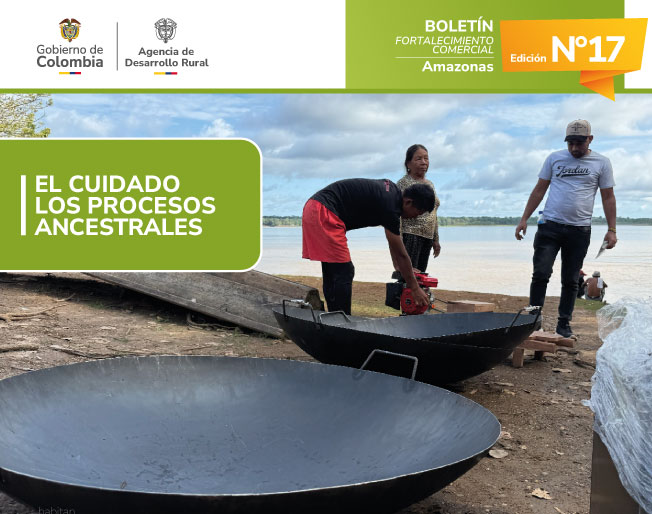 BOLETÍN 17---AMAZONAS