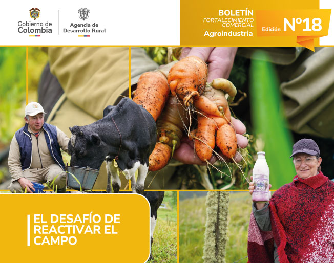 BOLETÍN 18---AGROINDUSTRIA