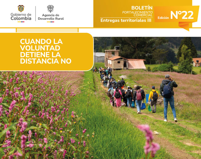 BOLETÍN 22---ENTREGAS-TERRITORIALES-III