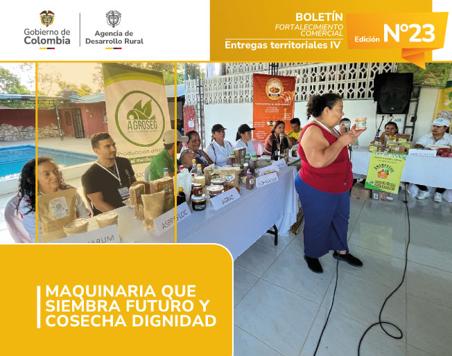 BOLETÍN 23---ENTREGAS-TERRITORIALES-IV