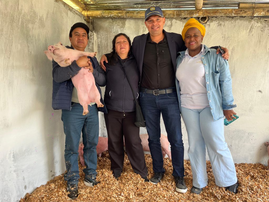 ADR impulsa la economía popular de 100 familias indígenas en Nariño con proyecto porcícola