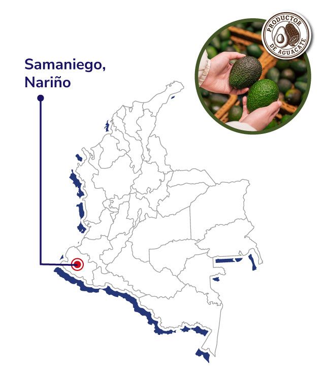 AGROANDINOS-Mapas-productores-shnagai-2025