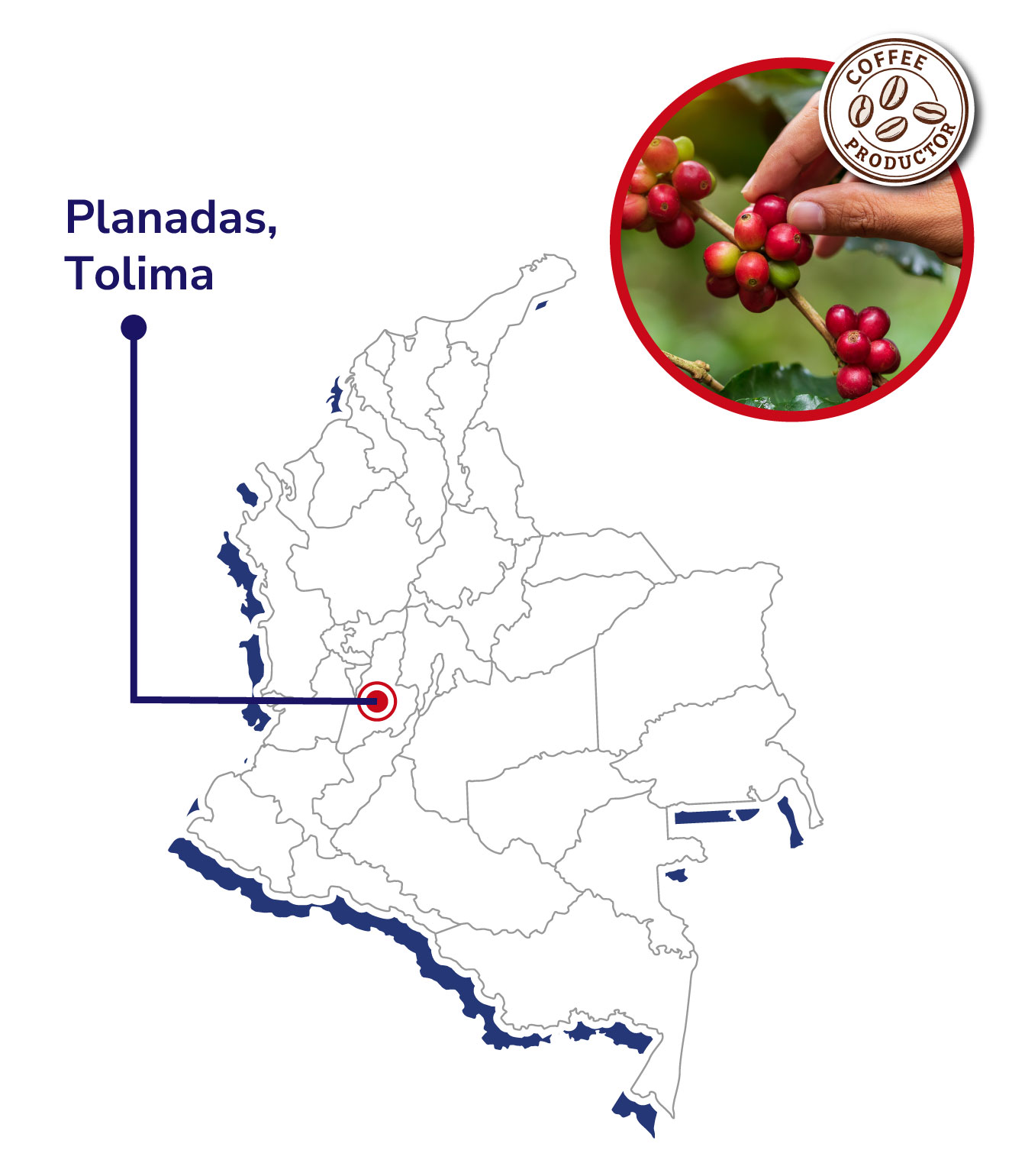 ASEPROPAZ-Mapas-productores-shangai-2025