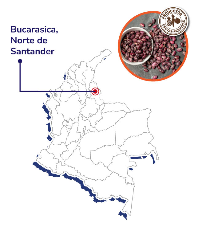 ASOAPROCUR-Mapas-productores-shnagai-2025