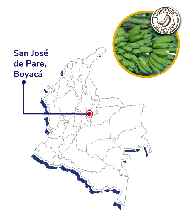 ASOBANAPARE-Mapas-productores-shnagai-2025