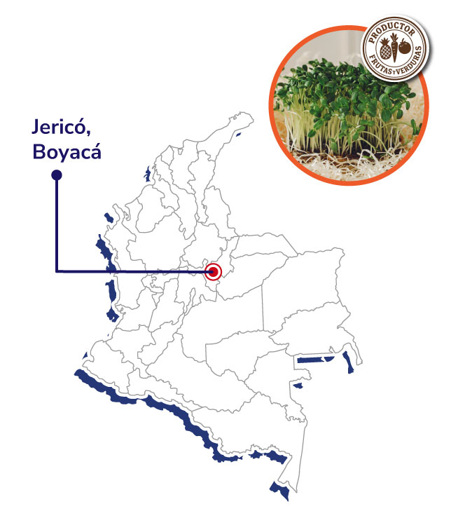 ASOPROVESALFALFA-Mapas-productores-shnagai-2025