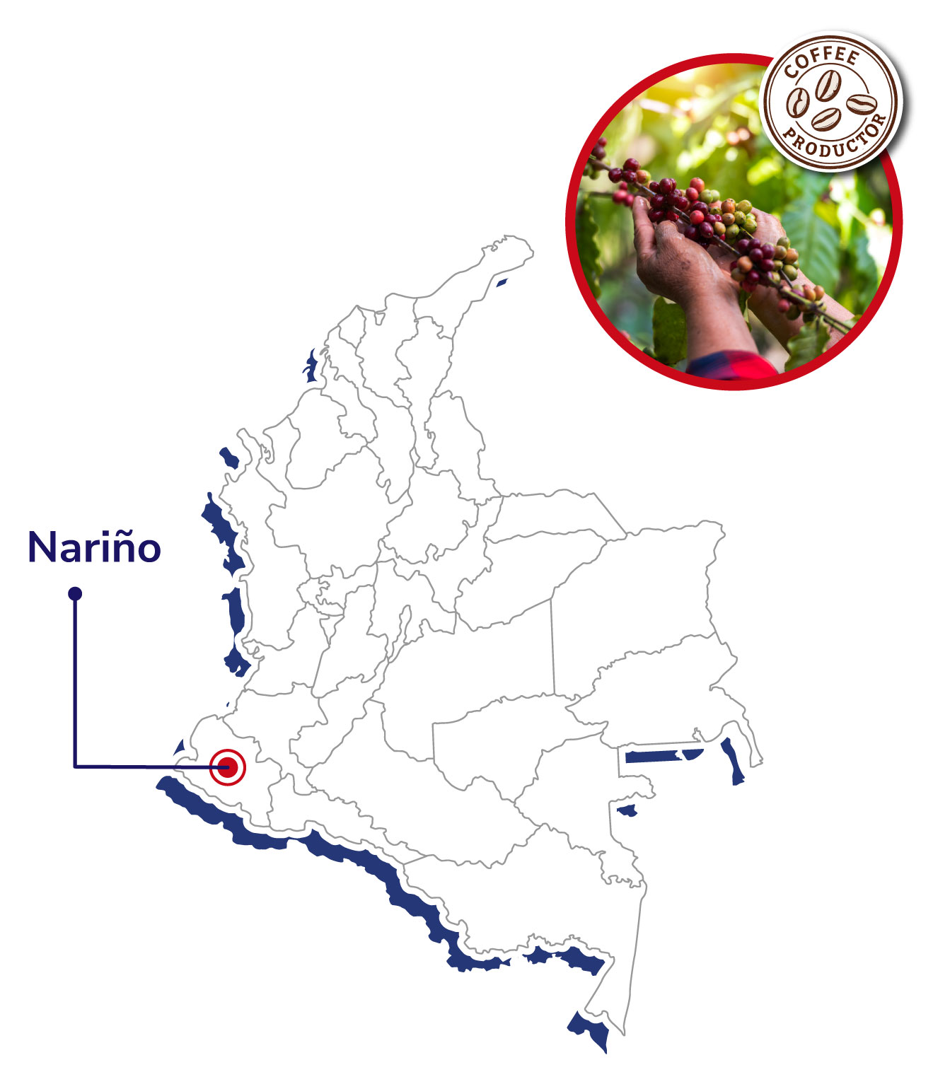 ASOQUIÑA-Mapas-productores-shangai-2025