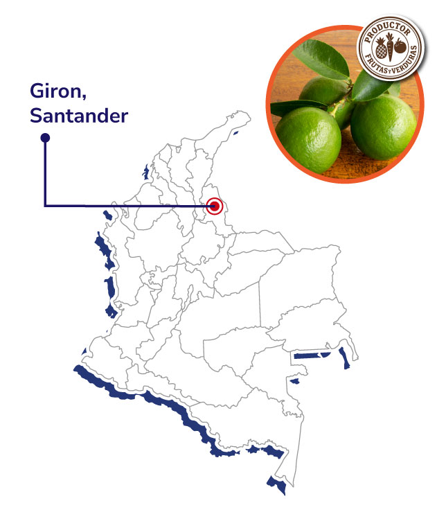 Agropecuaria-Blanco-Montana-Mapas-productores-shnagai-2025