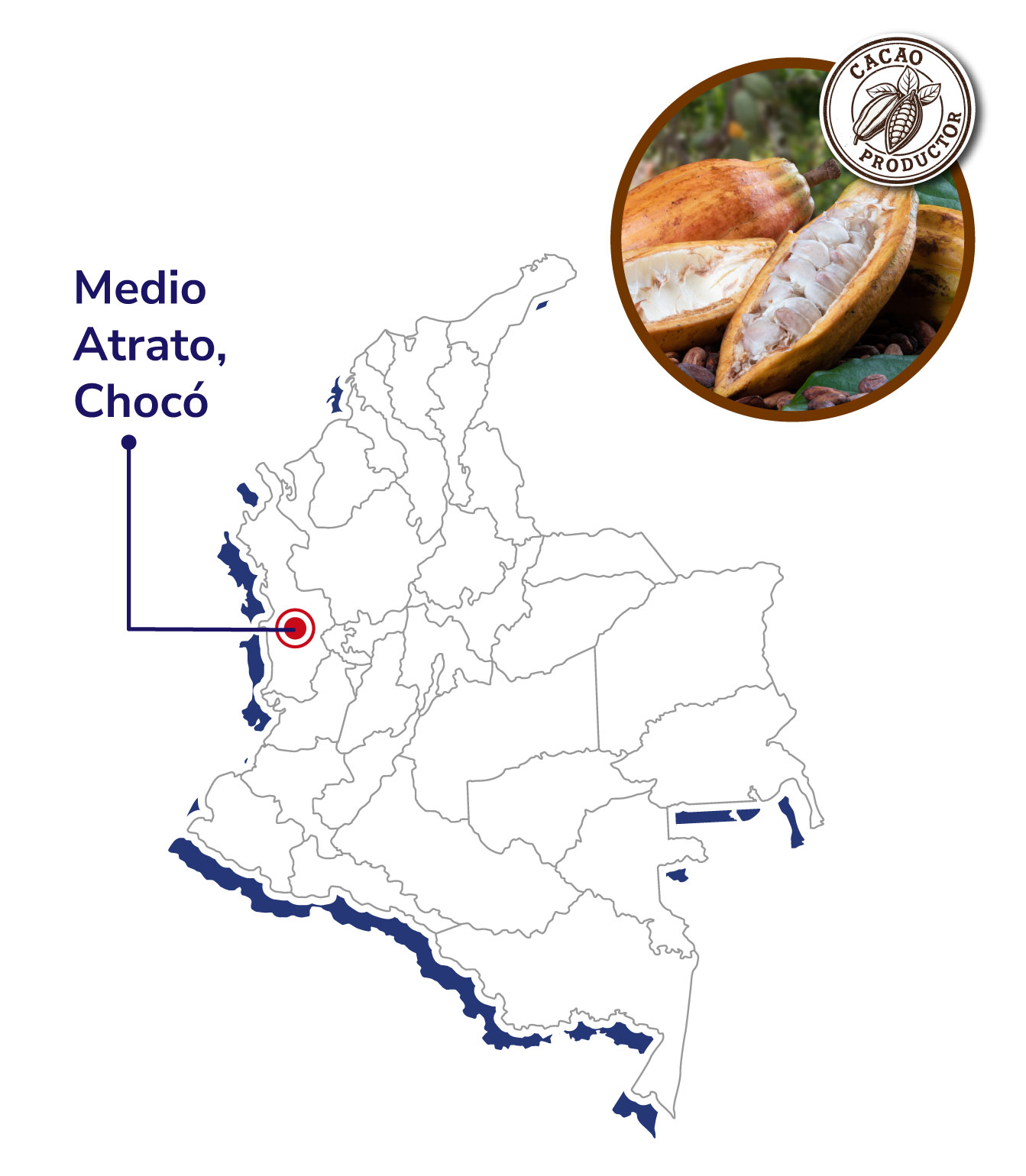 Choco-Bham-Fruits-Asociacion-AGRIMACHI-Mapas-productores-shnagai-2025