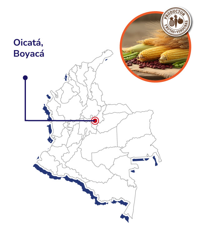 DignidadesCampesinas-de-Oicata-Mapas-productores-shnagai-2025