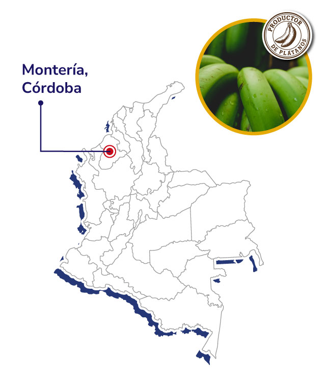 FEDEPLACOR-Mapas-productores-shnagai-2025
